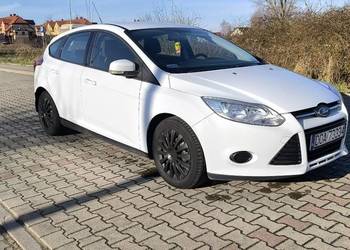 Fort Focus SALON POLSKA ZAMIANA