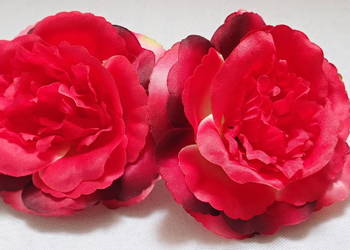 Róże rozwinięte, chińskie, okazałe 11cm. Kolory! L049
