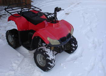 Quad ATV 110