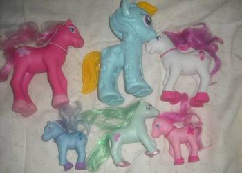 Koniki PONY, 12 sztuk