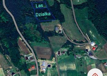 Działka z lasem 0.82ar Działka z lasem 0.82ar