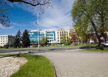 Lokal 171 metrów Kielce
