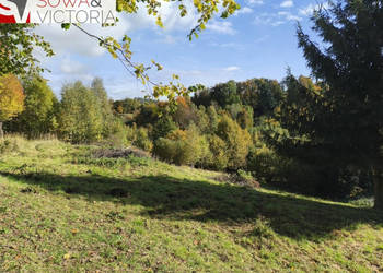 Kameralne miejsce z pięknym widokiem