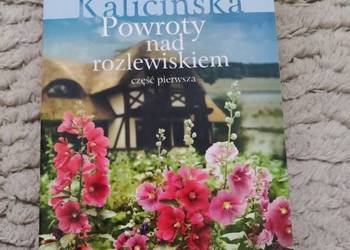 Powroty nad rozlewiskiem - Małgorzata Kalicińska