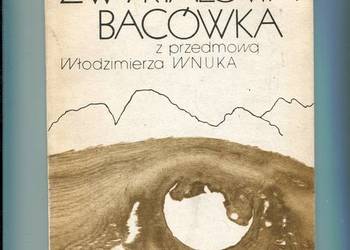 Zwyrtałowa bacówka - Feliks Gwiżdż