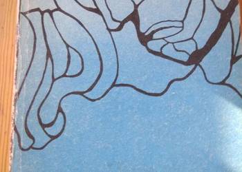 Młoda Polska polonistyka matura książki szkolne Bródno