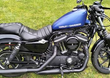 Harley Davidson sportster Iron