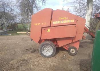 Sprzedam prase welger