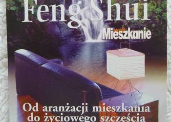 Film VCD Feng shui