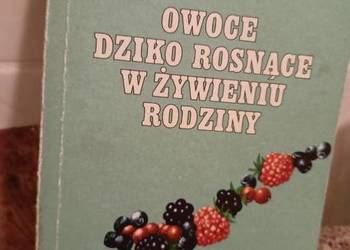 Owoce dziko rosnące w żywieniu rodziny książki Starzyńska Owoce dziko rosnące w żywieniu rodziny książki Starzyńska