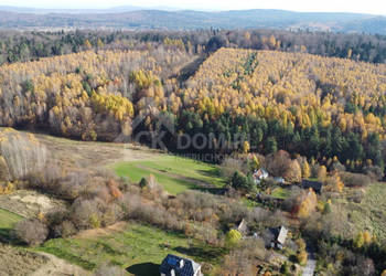 Działka inwestycyjna Cisów 22 500 m²