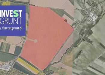 [96,50 ha] przetarg na dzierżawę gruntów rolnych