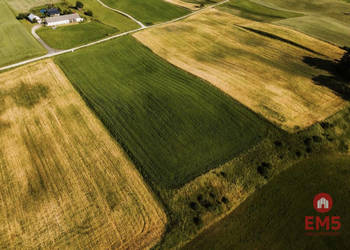 Działka 12000m2 Żegary