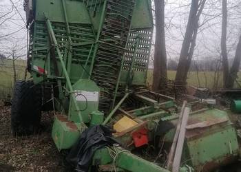 stoll v 202