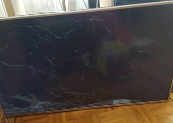 LG50LF5610 zbita matryca