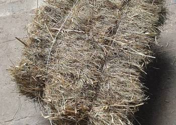 Słoma  mała kostka siano suche