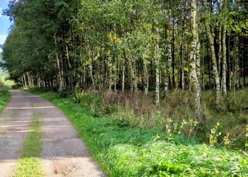 Działki rolne pod lasem – Błażkowa, S3