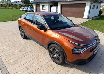 Bardzo ładny super kolor