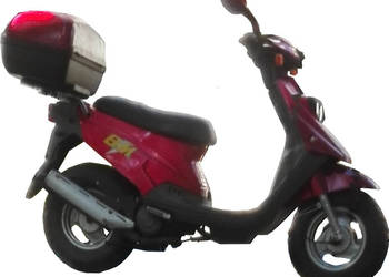 Pgo big max 50