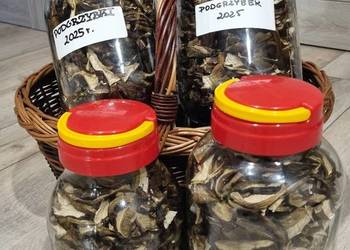 Podgrzybki suszone. Zbiór 2025r. Cena 25zł za 100g