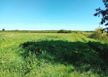 Syndyk sprzeda udziały w grunatach Żurawiec, Żółwiniec, Jurandowo