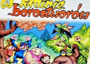 Kajko i kokosz w krainie borostworów