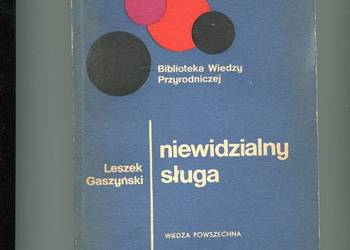 Niewidzialny sługa Opowieść o elektryczności - Gaszyński