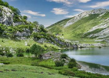 Sprawdzenie dokumentacji projektu z ochrony środowiska, ekspertyza, opinia