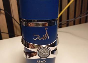 Lattafa asad zanzibar 100 ml