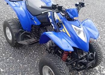 Kymco kxr 250