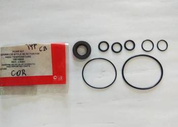 ZEST.NAPR POMP WSP SAGINAW TYP CB RENAULT LAGUNA