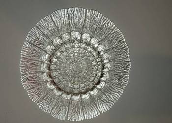 Talerzyki deserowe, szklane. 10 sztuk.