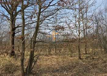 Działka 2847m Marcyporęba