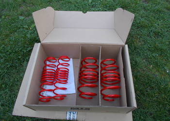 vw FOX 1.2 1.4 sprężyny obniżajace MTSXVW009 30/30mm MTS technik