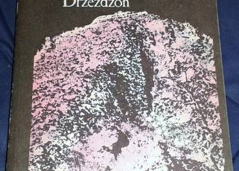 Karamoro - Jan Drzeżdżon