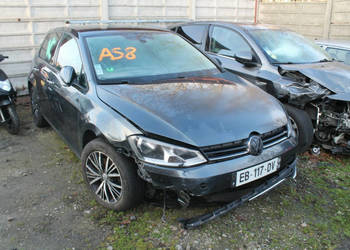 Volkswagen Golf VII (2012-)