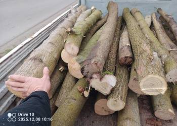 Sprzedam drewno opałowe