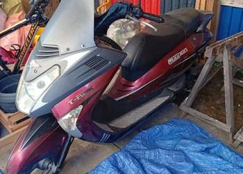 syndyk sprzeda skuter ZHONGNENG