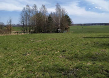 Działka budowlana 3942 m², Myszków, spokojna okolica