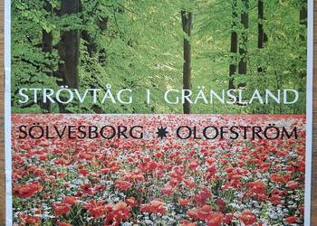 Solvesborg, Olofstrom Szwecja