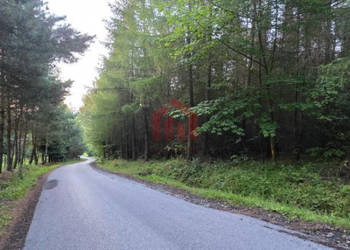 Sprzedaż działki 8500m2 Gogołów