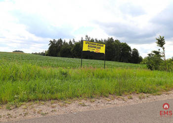 Grunt 9000m2 Rożyńsk Wielki