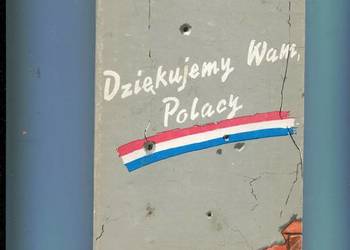 Dziękujemy Wam Polacy - Thom Peeters