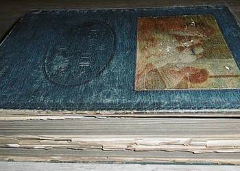 Die Aerztin im Hause - Jenny Springer 1920r.