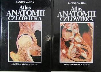 Atlas anatomii człowieka - Vajda Janos
