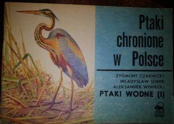Ptaki chronione w Polsce (Ptaki wodne)