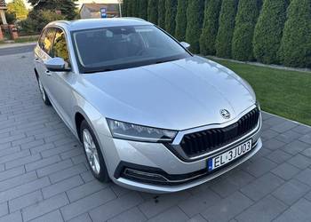 Skoda Octavia 2.0 TDI 2020r. Ambition