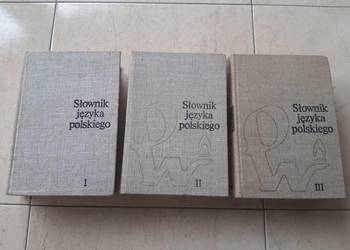 Słownik Języka Polskiego PWN 1978 3 tomy
