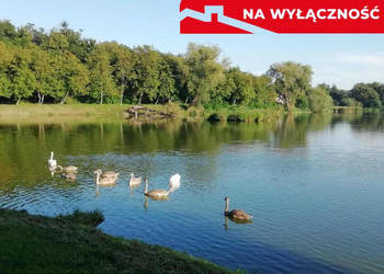 Działka o pow. 4,6 ha w Klementowicach gm. Kurów.