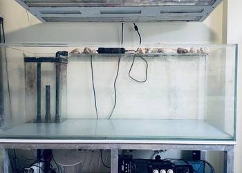 Zestaw akwarystyczny morski 385L – komplet